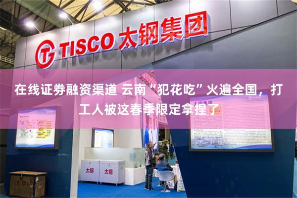 在线证劵融资渠道 云南“犯花吃”火遍全国，打工人被这春季限定拿捏了