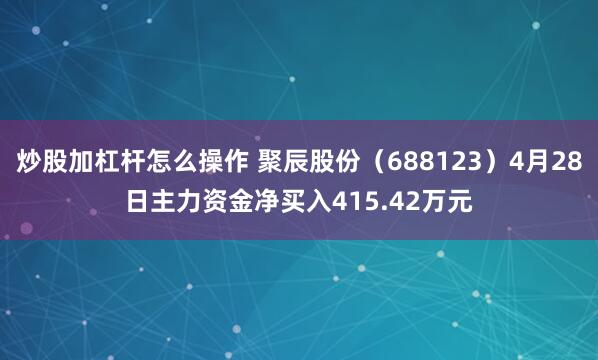 炒股加杠杆怎么操作 聚辰股份（688123）4月28日主力资金净买入415.42万元