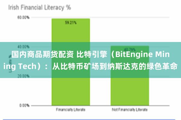 国内商品期货配资 比特引擎（BitEngine Mining Tech）：从比特币矿场到纳斯达克的绿色革命