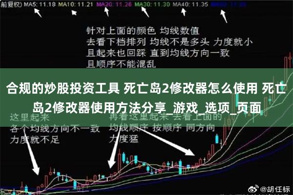 合规的炒股投资工具 死亡岛2修改器怎么使用 死亡岛2修改器使用方法分享_游戏_选项_页面