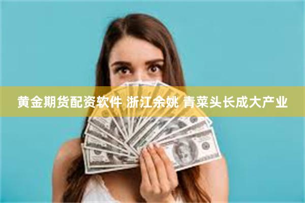 黄金期货配资软件 浙江余姚 青菜头长成大产业