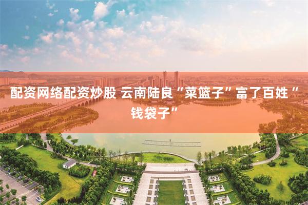 配资网络配资炒股 云南陆良“菜篮子”富了百姓“钱袋子”