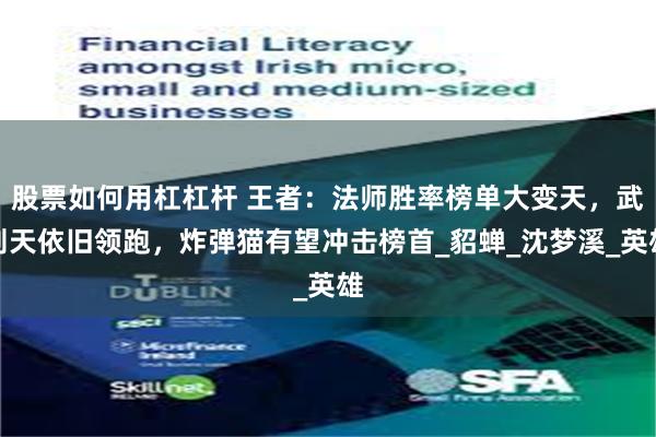 股票如何用杠杠杆 王者：法师胜率榜单大变天，武则天依旧领跑，炸弹猫有望冲击榜首_貂蝉_沈梦溪_英雄