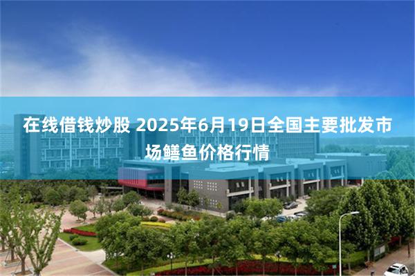 在线借钱炒股 2025年6月19日全国主要批发市场鳝鱼价格行情
