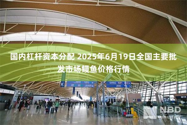 国内杠杆资本分配 2025年6月19日全国主要批发市场鳗鱼价格行情