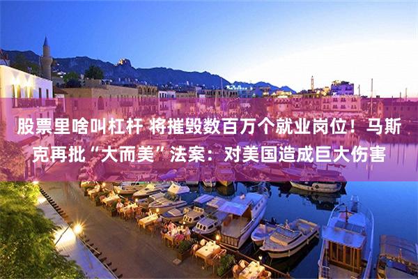 股票里啥叫杠杆 将摧毁数百万个就业岗位！马斯克再批“大而美”法案：对美国造成巨大伤害