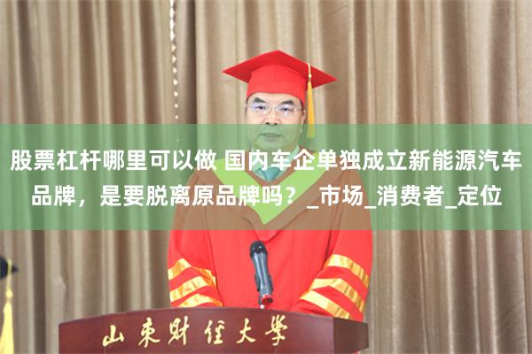 股票杠杆哪里可以做 国内车企单独成立新能源汽车品牌，是要脱离原品牌吗？_市场_消费者_定位