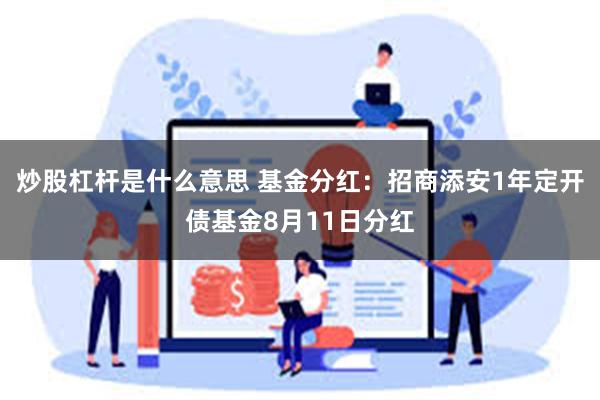 炒股杠杆是什么意思 基金分红：招商添安1年定开债基金8月11日分红