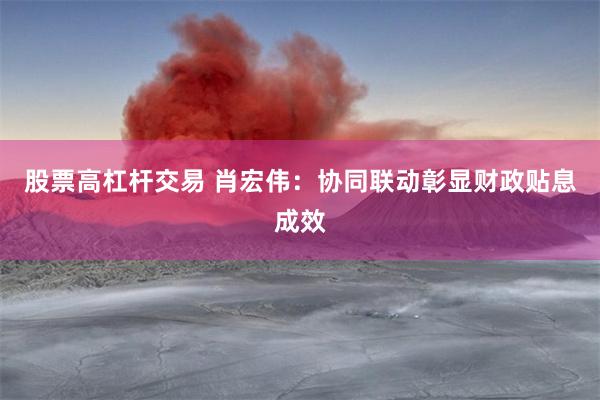 股票高杠杆交易 肖宏伟:协同联动彰显财政贴息成效