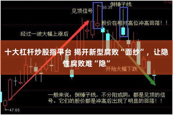 十大杠杆炒股指平台 揭开新型腐败“面纱”，让隐性腐败难“隐”